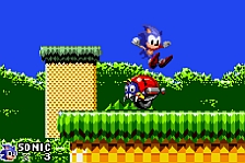 Sonic the Hackable